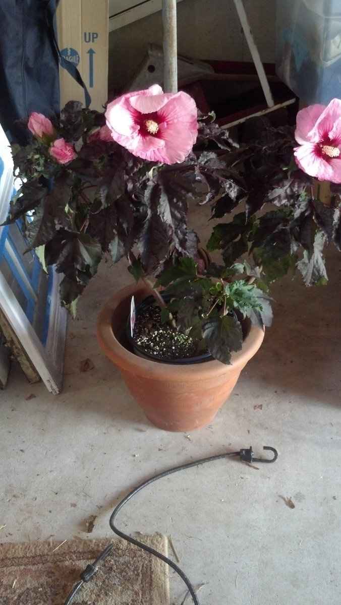 DIY *PICS* with 2 days to go