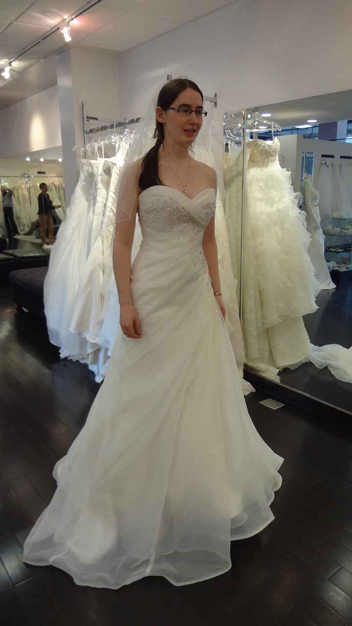 Fit N Flare Or Ball Gown...