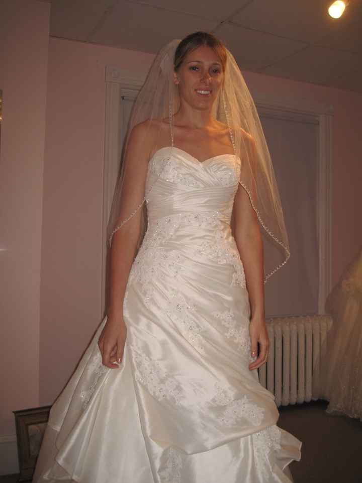 **PICS** First Dress Fitting