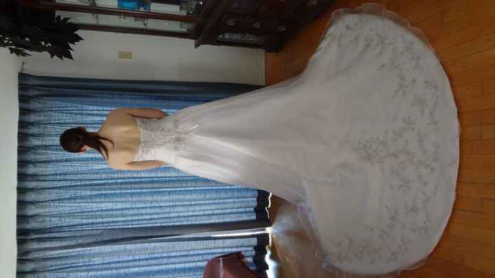 What kind of veil??