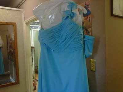 ***updated pics***my bridesmaid dresses came in!!! 80 days left