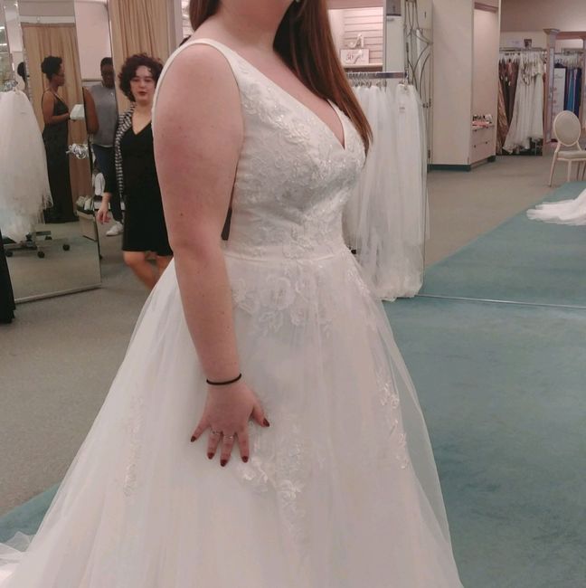 Dress opinion - 5