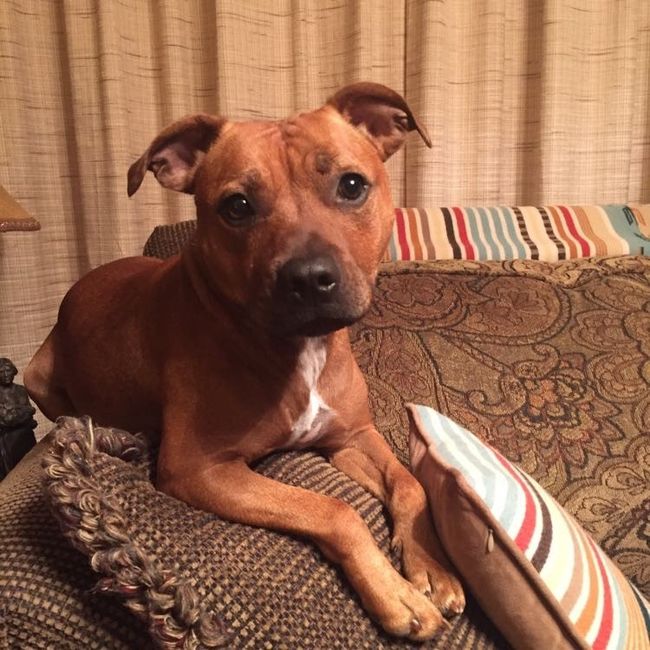 NWR: Lost a Fur Baby