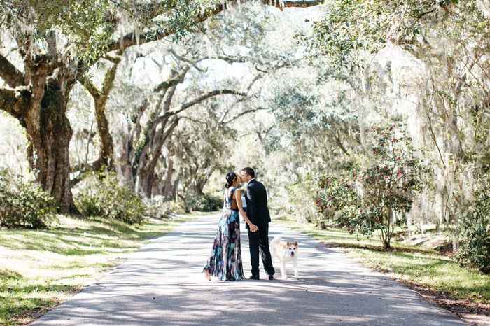 Engagement photos w/ dogs - 1
