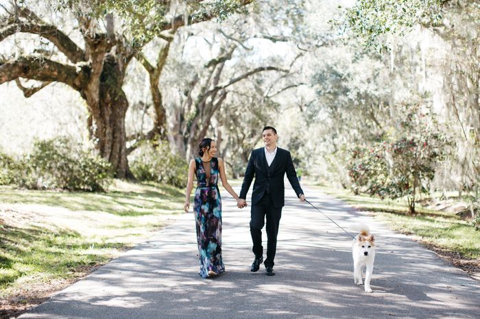 Engagement photos w/ dogs - 2