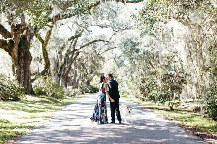 Engagement photos w/ dogs - 1