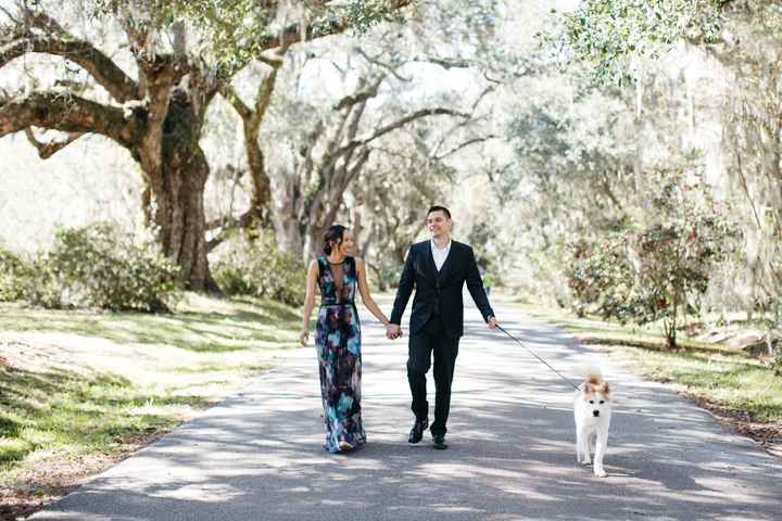 Engagement photos w/ dogs - 2