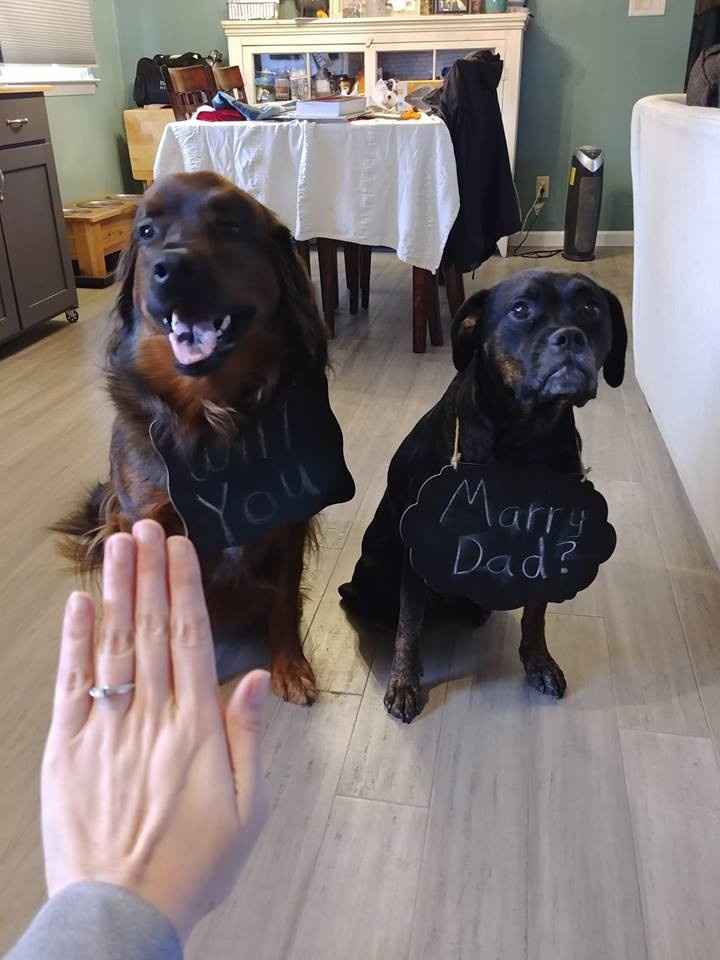 Clyde & Bonnie with their signs.