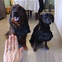 Clyde & Bonnie with their signs.
