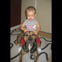 Need cheering up. Show me your puppies!