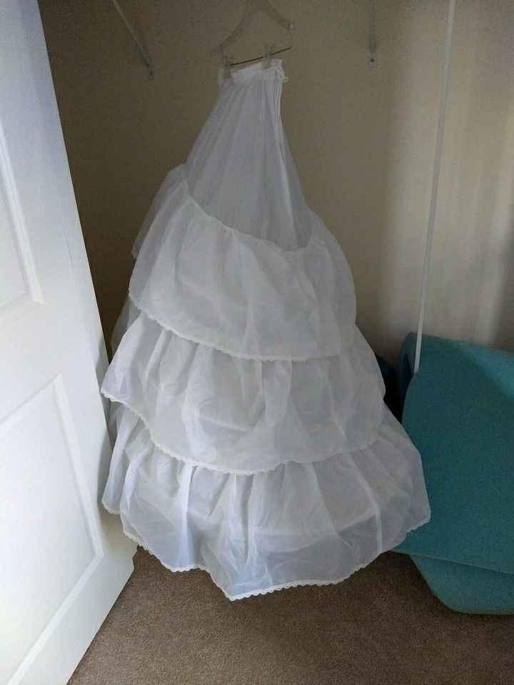 Oh. Dear. Hooped Petticoats. - 1