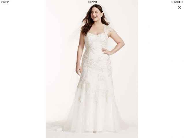 Plus size brides help!