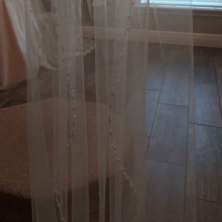  Anyone Seen This Veil - 1