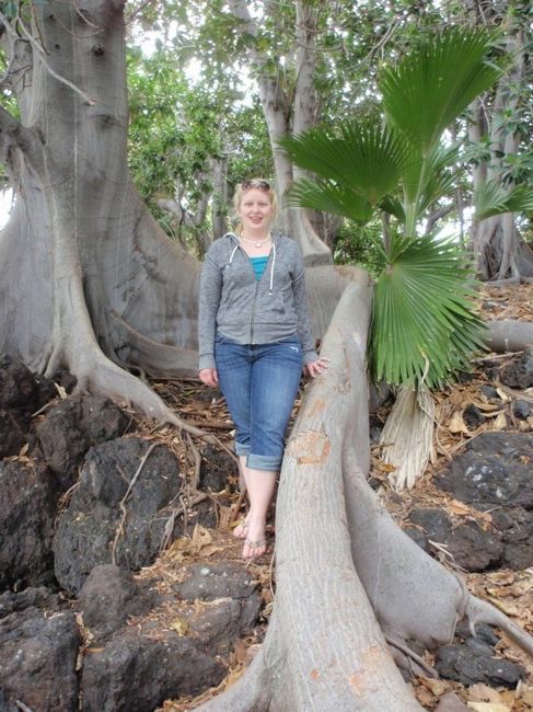 How much have you . . .