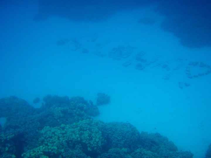 Have you been to Hawaii?