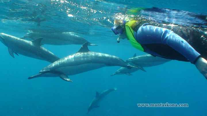 Have you been to Hawaii?