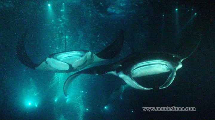 Have you been to Hawaii?