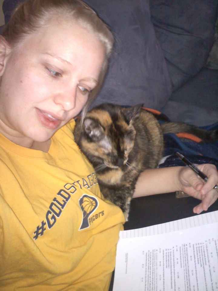 My cat has chosen her wedding dress :)