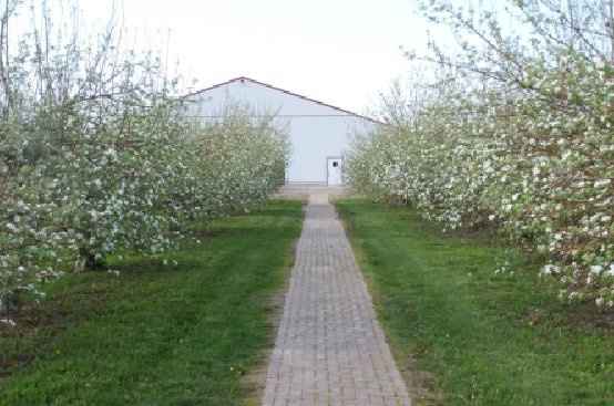 What type of venue are you getting married at?