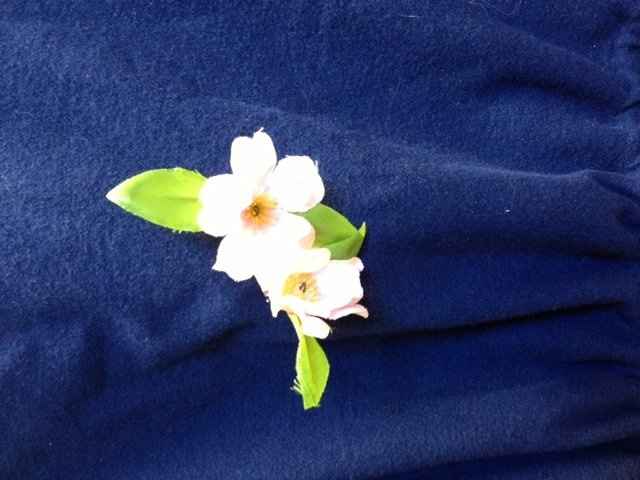 Help with DIY boutonnieres