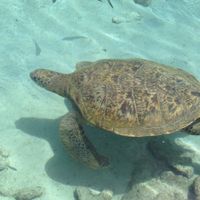 Random Poll For Fun:  Are You Honeymooning...