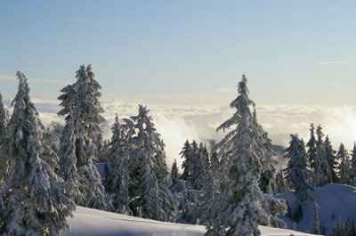 My venu has snow :)