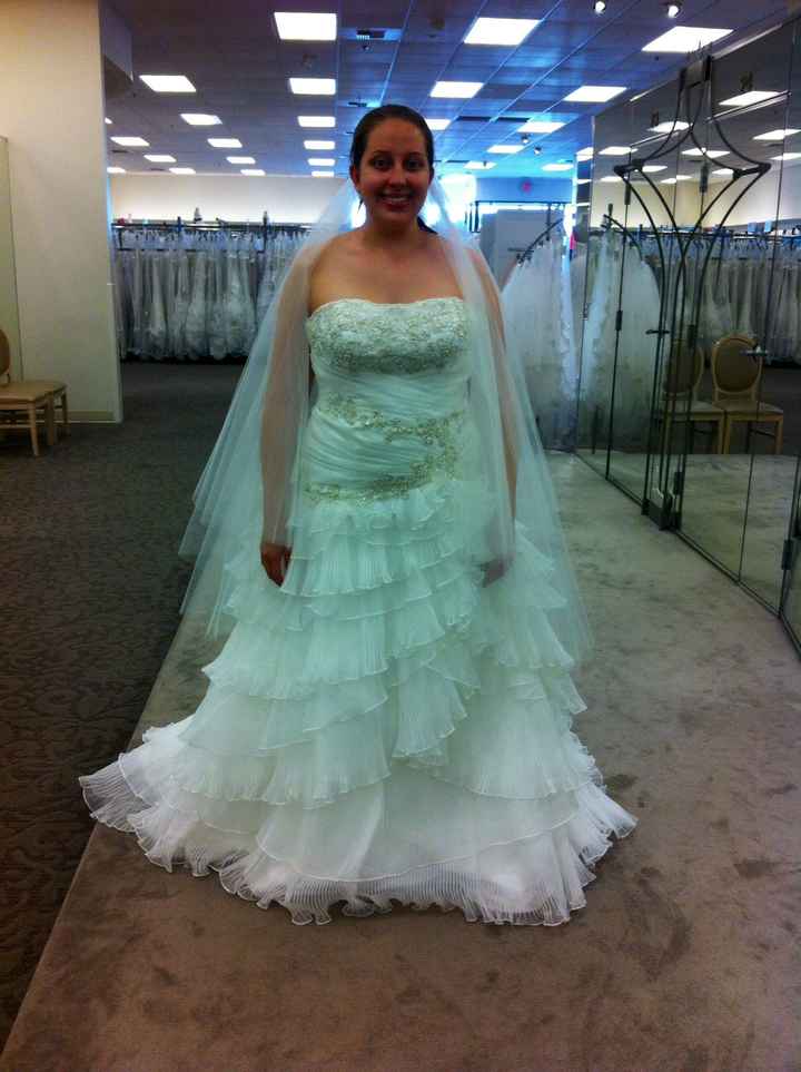 Show me your Davids Bridal dresses:)