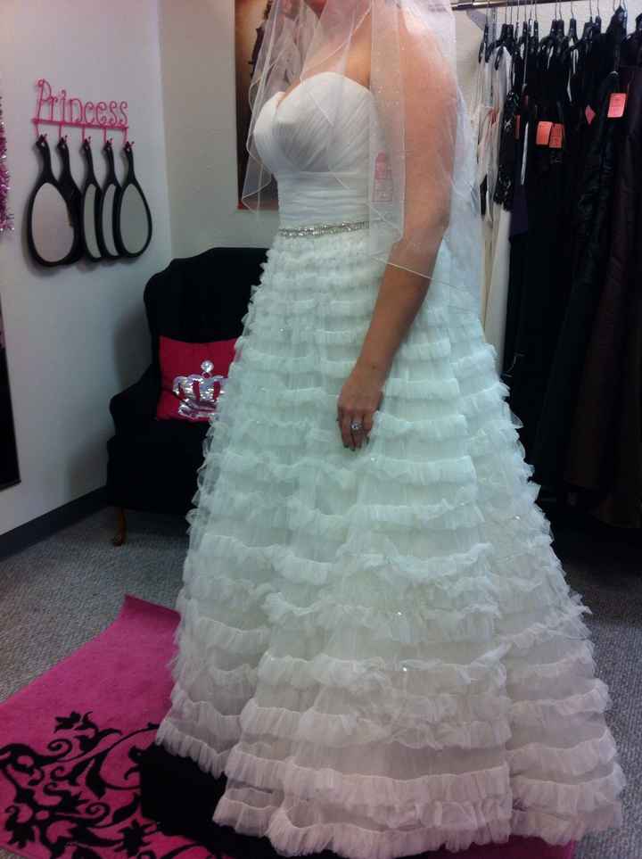 I got my DRESS!!! I LOVE it!! (Pics)