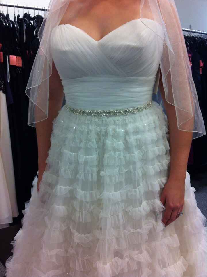 I got my DRESS!!! I LOVE it!! (Pics)