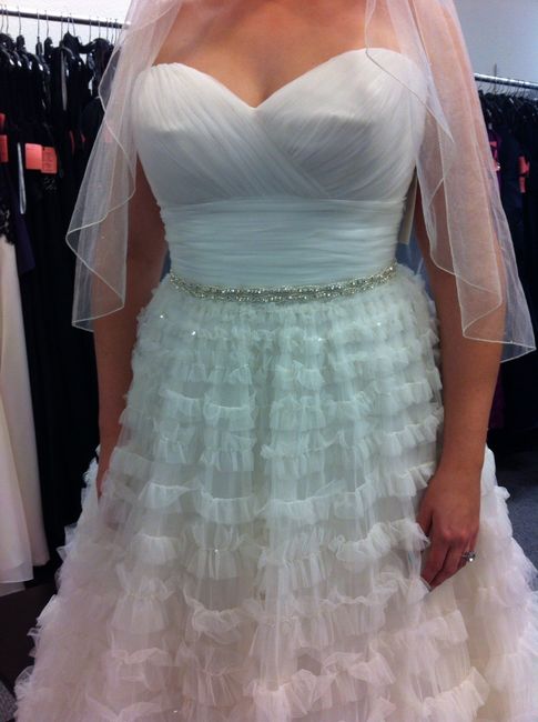 I got my DRESS!!! I LOVE it!! (Pics)