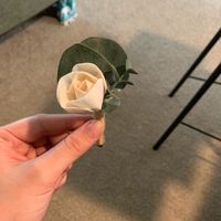 Solawood flowers - 1