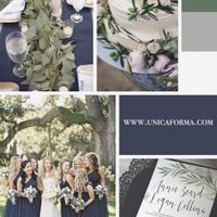 Best/cheapest eucalyptus - 1