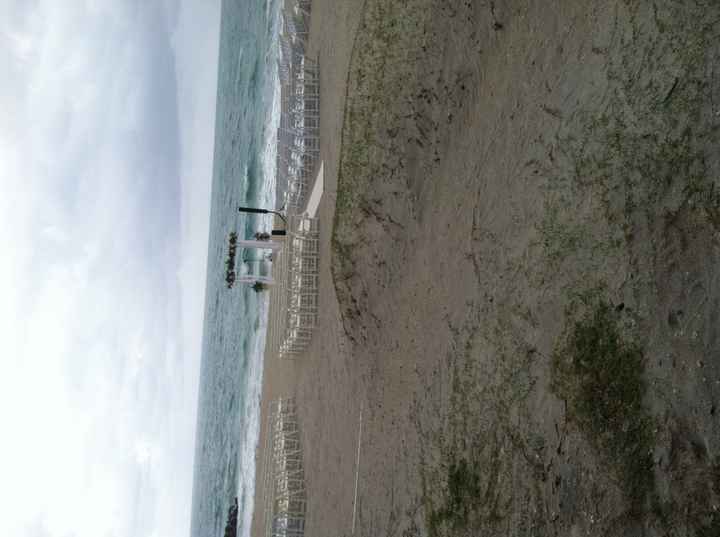 Back for a quick second... and MARRIED.