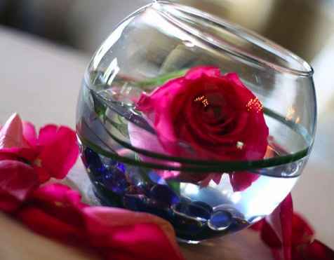 Calling all creative/DIY types! lots of input needed!