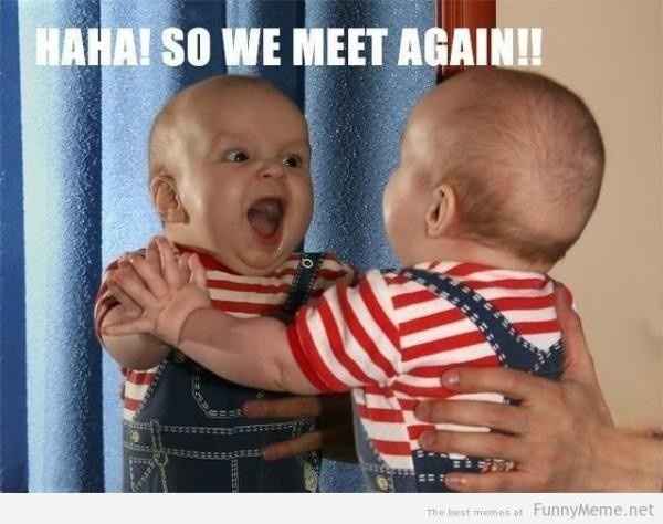 NWR: Emotional Rolla Coasta - NEED MEMES!