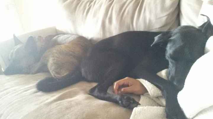 We havent had a pet post in a minute.