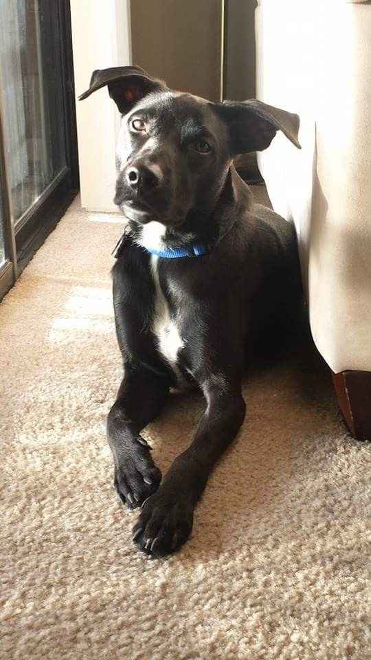 NWR: Mrs. A & J - This one's for you!!