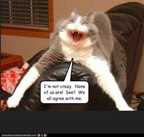 Rollercoaster of Emotion...