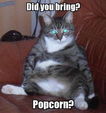 Obligatory Cat Thread