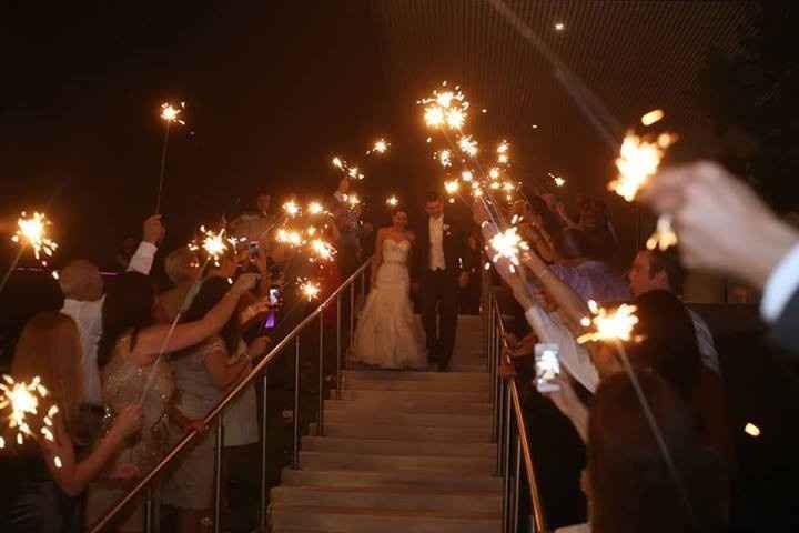 Married! Professional Photos! (Pic Heavy)