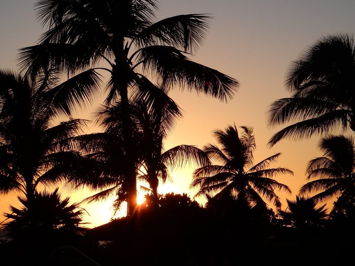 Back and Honeymooned - MAUI