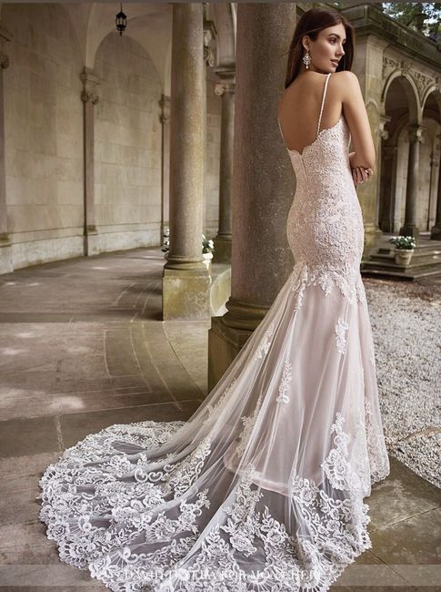 Anyone have a David Tutera dress?