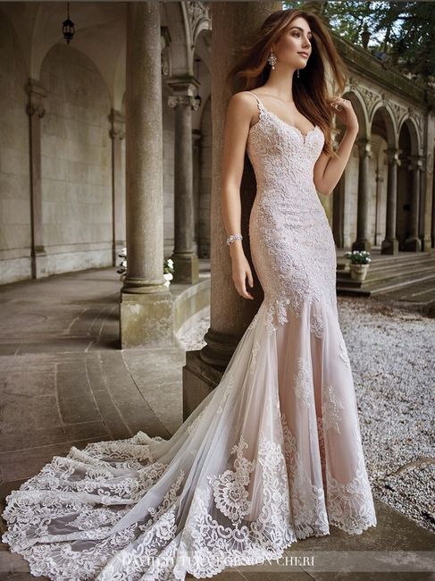 Anyone have a David Tutera dress?