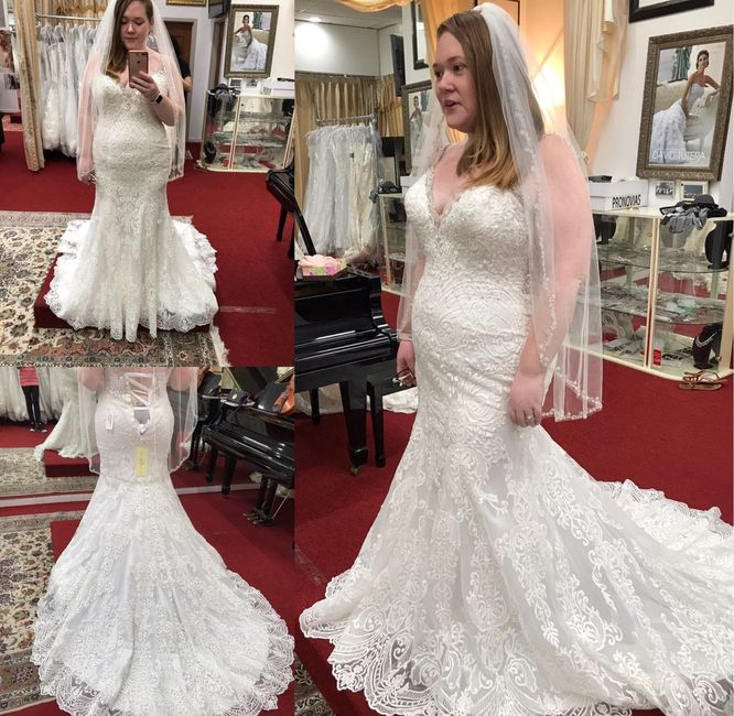 Allure Bridals 9401, Dress Twins? 3