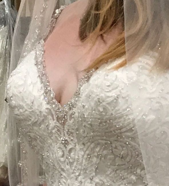 Allure Bridals 9401, Dress Twins? 4
