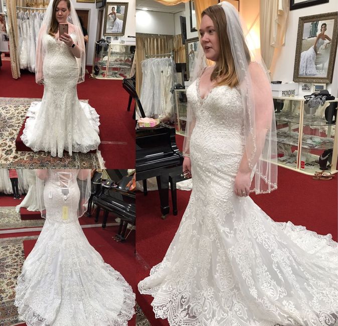 My Dress Came In!!! - Please share yours 😆 - 1