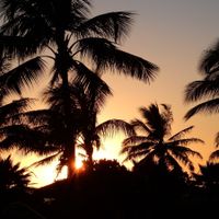 Back and Honeymooned - MAUI