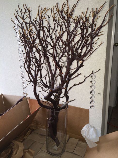 Manzanita branches for my centerpieces came in!!