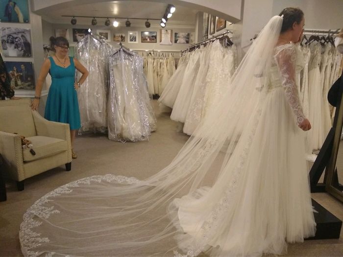 Chapel length or cathedral length veil? 2