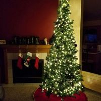 NWR-show me your Xmas trees